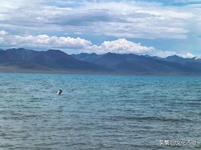 游客注意！纳木措景区有氧直通车来了！