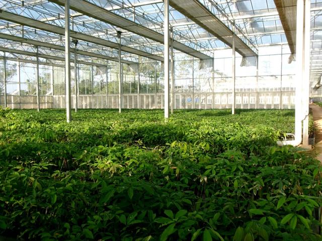 12月20日,欢乐开走!茂名徒步5条线路,你中意哪条?