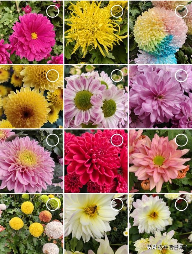 武汉十二月——一月一帧藏走过2025的四季光影