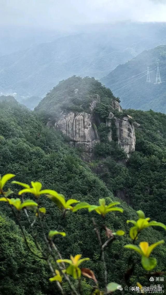 “浙南之巅”竟藏着以奇石景观著称的微缩版三清山，目前免费玩！