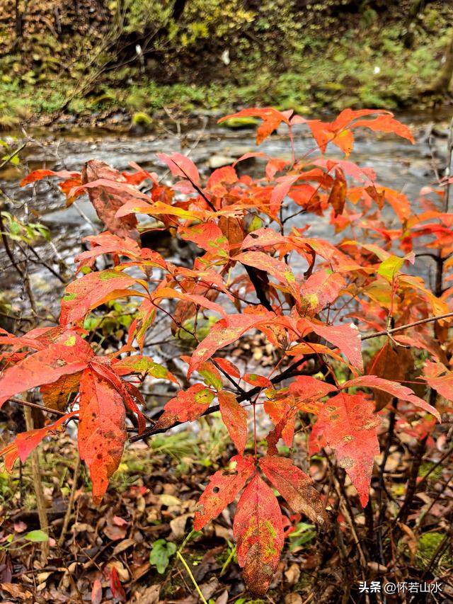 2025辽宁赏秋之旅日记(3)——游览洋湖沟和老边沟