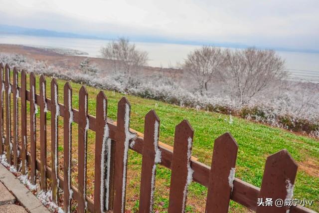 琼枝映草海 雾凇绘高原——威宁草海北坡生态公园现冬日限定仙境