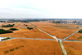 河南已收获小麦7992万亩 丰收的关键密码是啥｜豫观察图片