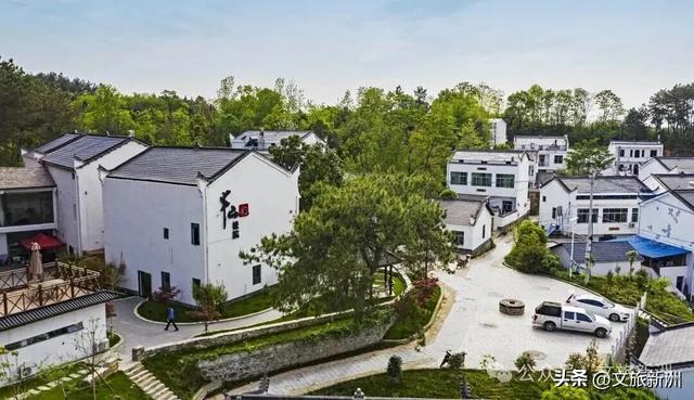 国家3A+1！新洲这个景区“糖分”已超标，有点好嗑，速来！