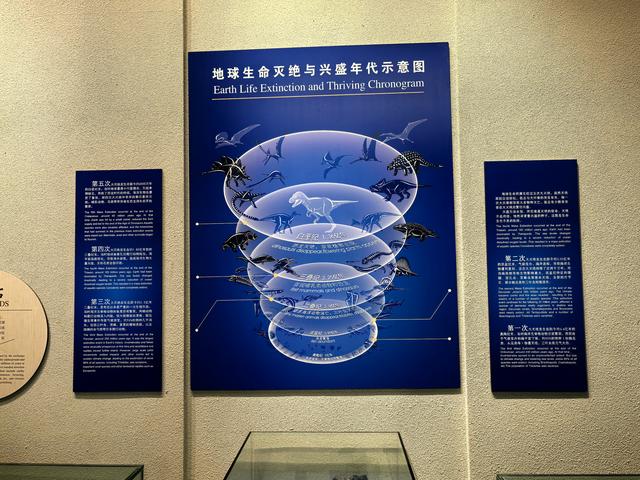 2025年夏季东北边境游（52）呼玛博物馆