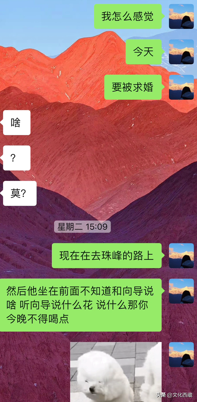 礼赞60年·我的西藏幸福映像 | 在珠峰下被求婚了