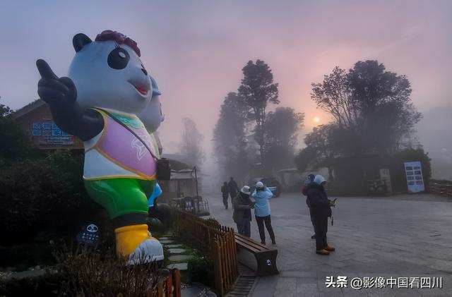 四川雅安：碧峰峡风光旖旎引客来