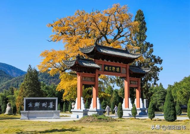 秋色正斑斓！信阳赏秋打卡地推荐