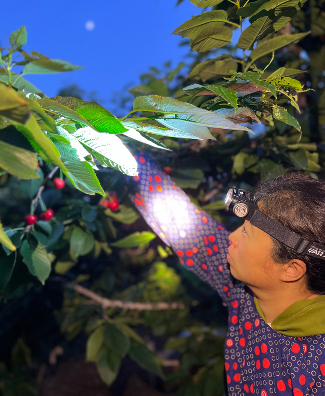 40岁中年女性慢跑半年实录：体重没变	，但身体发生了惊人变化！