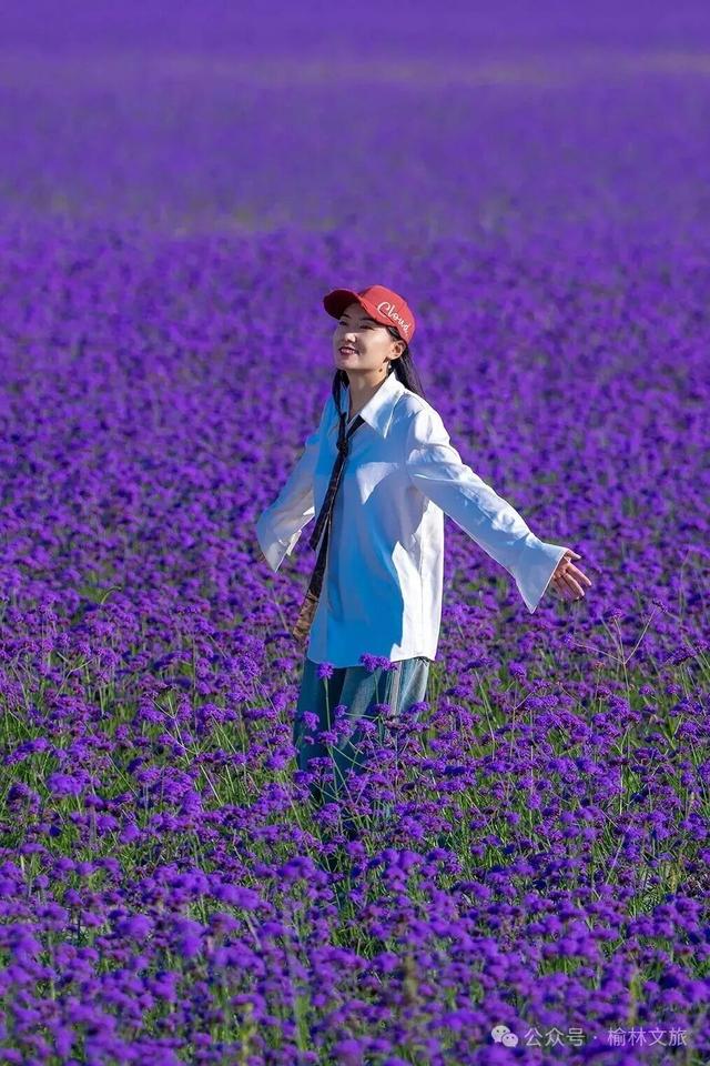 赏花事，醉秋风！花漾补浪河~
