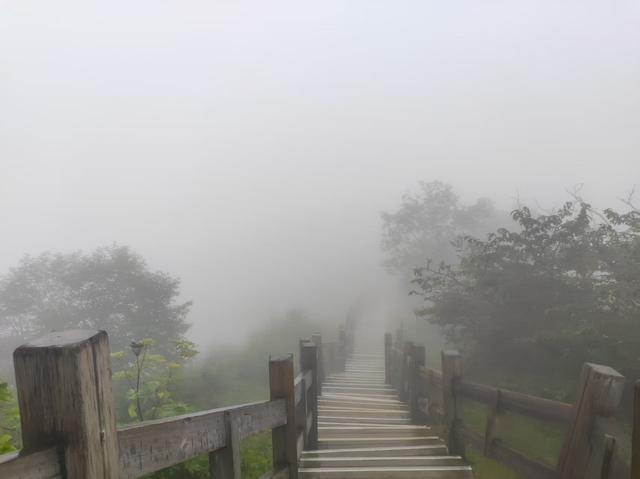 成都周边的雪山景区，气温凉爽景色壮美，黑色“藏乌梨”是个坑