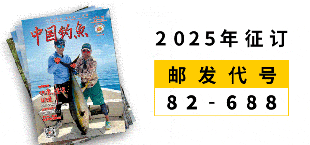 垂钓者的天堂——新西兰