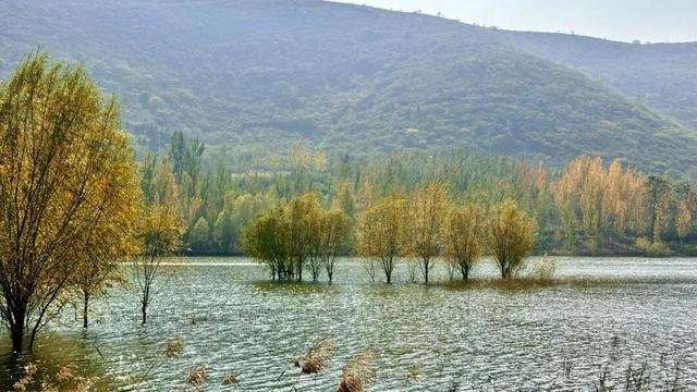 宿州私藏了个“小九寨沟”！就在萧县官桥镇，美到犯规！