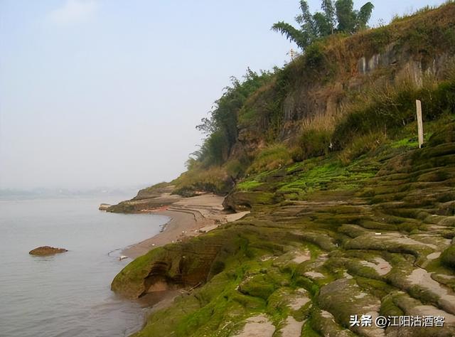 八年如一梦，年年凭吊神臂城，老泸州的精神让我泪目
