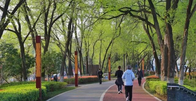 这种运动是心脏的“康复师”，心内科医生都大力推荐它