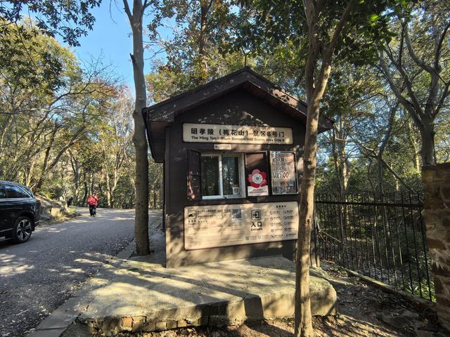 南京紫金山郊野徒步