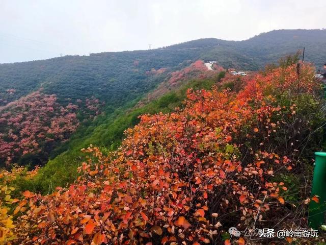 富平薛镇赵老峪北村，赏红叶观石桥瀑布，这条环线真是美爆了！