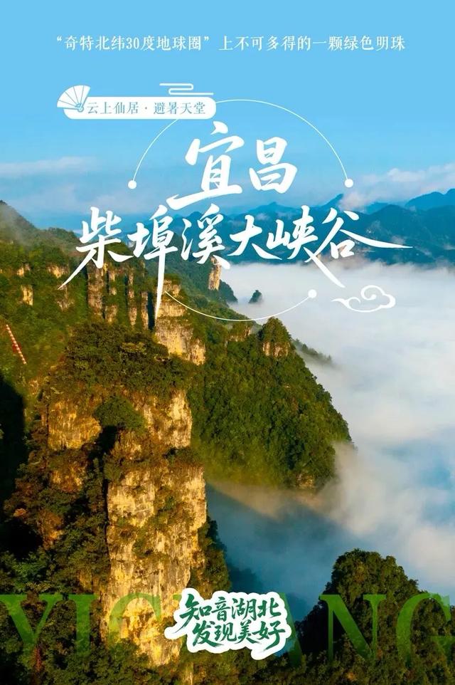 湖北发布最新榜单!TOP10是……