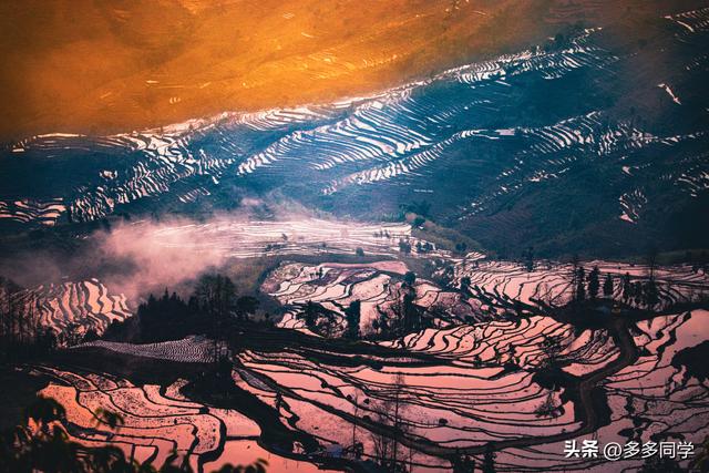 探秘哈尼梯田：“四素同构”的生态奇观，为何能惊艳世界？