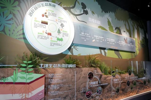 打卡新地标!来汉中这里,开启一场自然之旅~