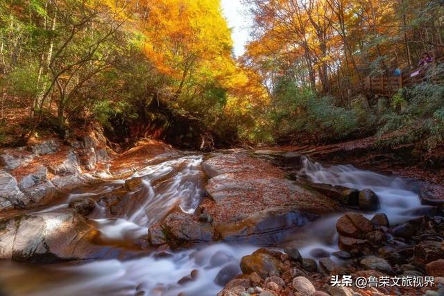 光雾山：川陕腹地的红叶秘境与千年回响