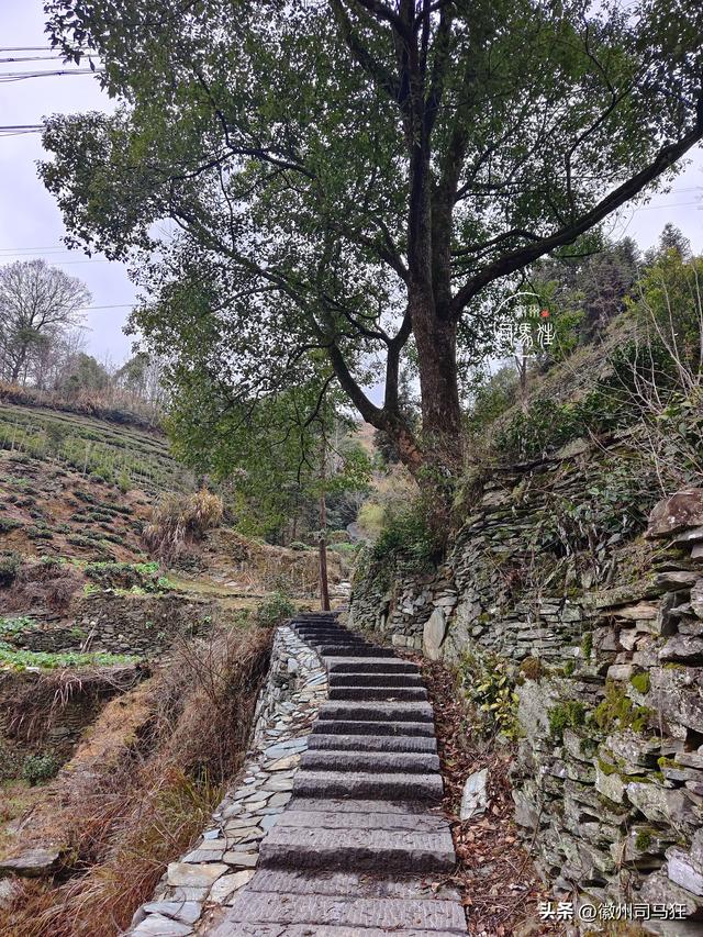 【行走徽州244】岔口：王茂荫、许球都曾在此求学，大洲源核心区