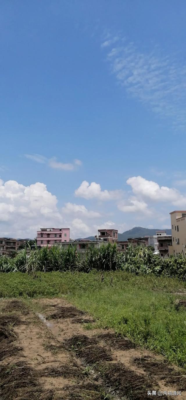 回农村住了几天，发现现在的农村，与以前的完全不同。