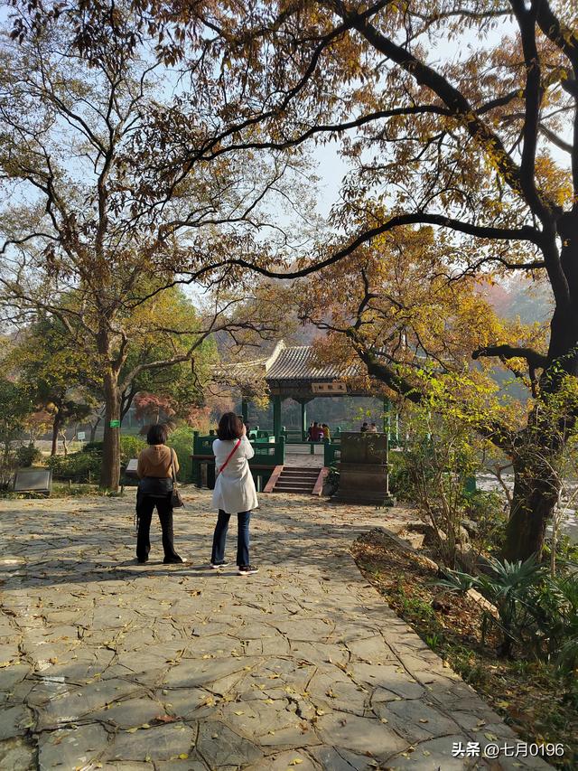 国庆假期，南京钟山风景区开启假期模式，实行交通管制，建议出行