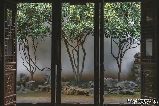 秋日南京，金色相逢
