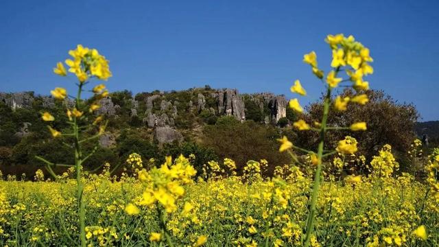 明确了！这些景区对全国公安民警免票！