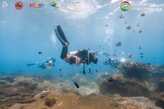 万宁:从“冲浪胜地”迈向“高质量户外运动目的地”