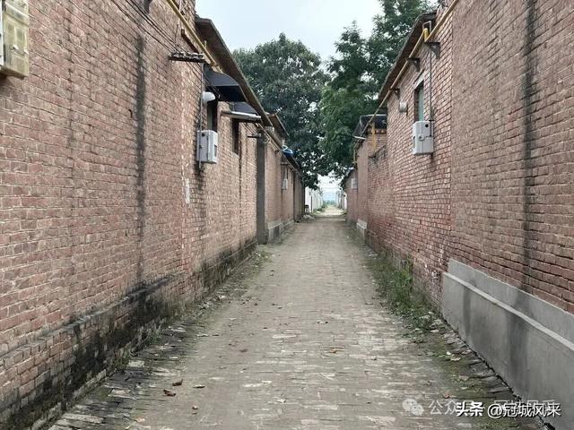 冠县乡韵·桑阿镇轧庄