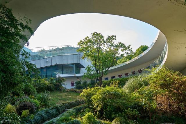 杭州6个值得一去的免费景点，好玩不花钱，拍照超出片，0元游杭州