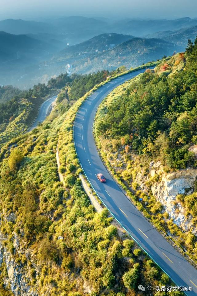 别去日本了！新洲的“同款”风景，美得更懂你