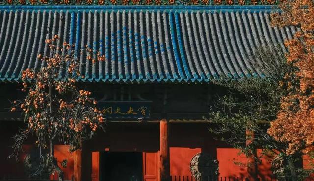 别再刷崛围山红叶图了！亲自去触摸红林间的千年时光，才够劲