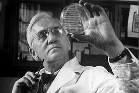 改变世界百大科技(九七) 青霉素与抗生素：二战时期的“救命药”图片