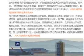 航空安全专家质疑：韩国空难机场跑道尽头为何有墙图片