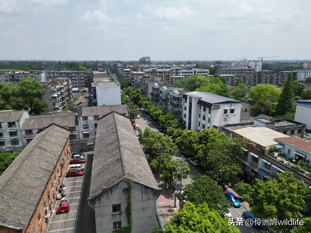 成都古镇（15）郫县唐昌古镇崇宁公园·大椿巷