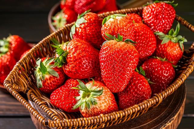 不藏了，美景天成：去辽宁这五处红叶佳景，体验最诗意的北国