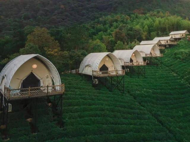 德清下渚湖｜湿地公园与奇幻谷度假指南