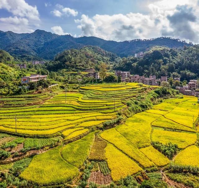 秋日限定!速来围观肇庆的绝美风光~