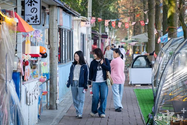 太出片了！中山崖口600多亩格桑花开了