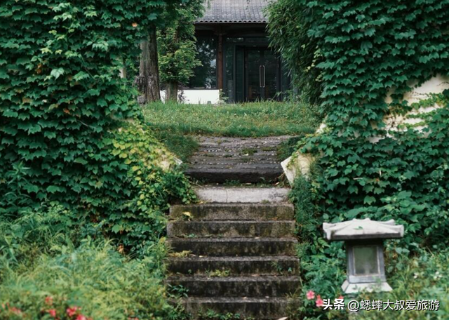 0元打卡杭州千年禅意古刹吧，真万籁此俱寂，为周末放空绝佳之地