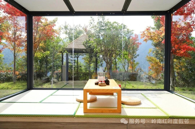 给你个准信！韶关森林红！红！红啦~