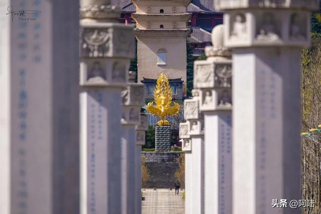 你知道吗？丽江有条1.2公里长的网红路，风景绝美游客却很少