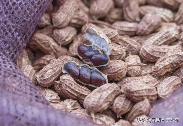 昆阳站临走前冲！晋宁特产采购指南，百元搞定伴手礼！