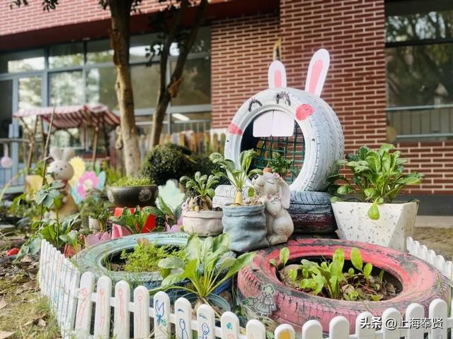 奉浦校园初冬美景大赏，你家娃的学校藏着这样的冬日浪漫