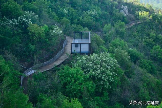 总长近150公里~延庆将建成两条森林步道——