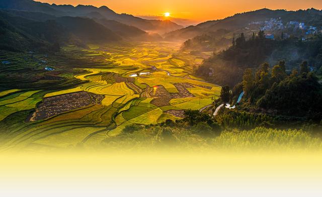 广西隆林县历史沿革及行政区划