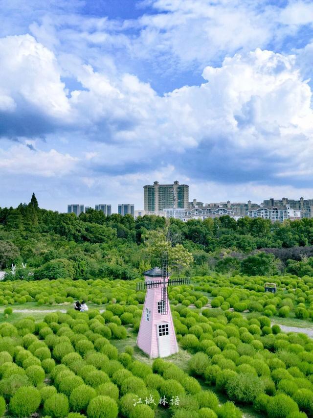 今日白露，武汉的秋天真的来了，超出片！然后，满城桂花香！